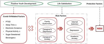 Factors and pathways of non-suicidal self-injury in children: insights from computational causal analysis